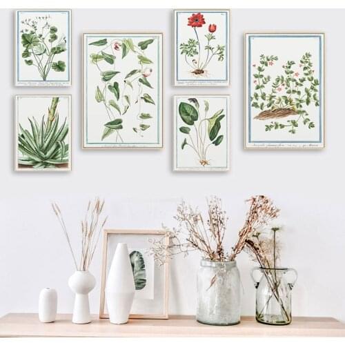 Vintage Botanical Poster Aloe vulgaris Decoration Painting Plant Canvas Pictures Wall Art Stickers Illustration Home Decoration