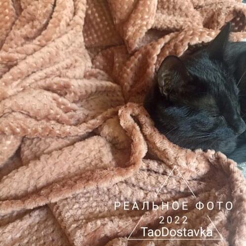 Постельные покрывала Blumarine China At AliExpress