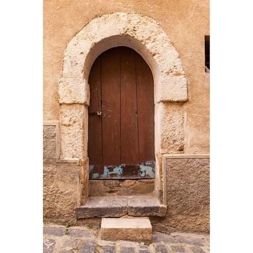 Nostalgia Brick Wall Wooden Door Photography Background Custom Backdrops Photo Studio for Children Baby Portrait Pets Photocall