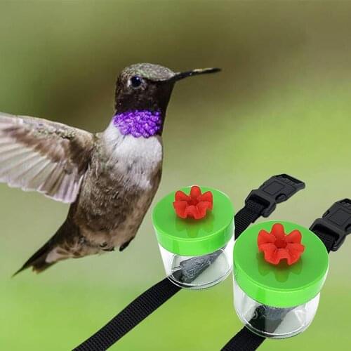 Wristband Type Hummingbird Feeder Wrist Plastics Flower Bird Water Feeder Handheld Bird Feeder Garden Outdoor Pet Bird Supplies