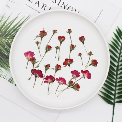 Side pressed rose with branches real flower dry flower specimen DIY hand drop glue candle craft supplies dried flowers nail art