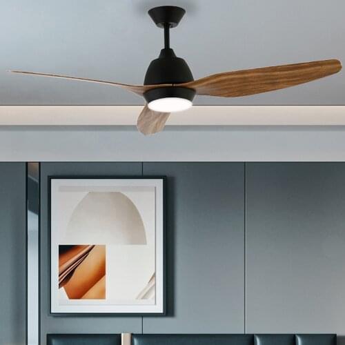 Bowod 52Inch Ceiling Fan With remote control With LED Lights ABS blades 110v/220v modern style ceiling fan for home