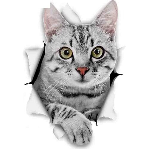 Dawasaru 3D Cat Stickers Grey Tabby for Laptop Moto Skateboard Luggage Refrigerator Toy Sticker,15cm