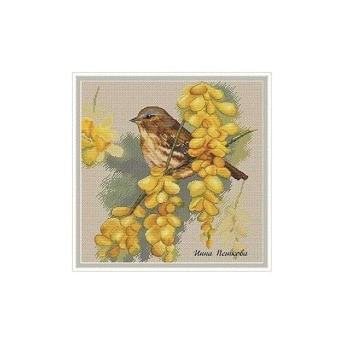 Cross Stitch Set Cross-stitch Kit Embroidery Needlework Craft Packages Cotton Fabric Floss New Designs Embroidery birds