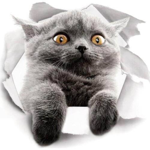 Hot 3D Cute Kitten Closestool Sticker Kids Bedroom Wall Deocration Cat Cartoon Fridge Sticker toilet WC sticker for Children