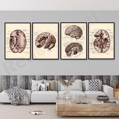 Anatomical brain prints, vintage brain structure posters, medical art, gifts for psychologists