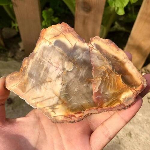 Natural polished wood fossil slab rough stone slice specimen home decoration