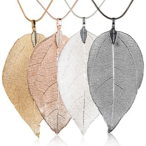 Shellhard Women's Medallions