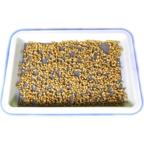 50pcs 27.5*19cm Seedling Paper Special Newsprint for Soilless Culture Moisturizing Paper Garden Seeds Planting Paper