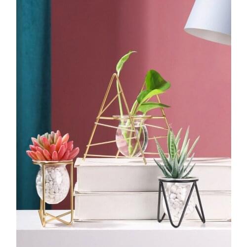 Glass Vase Transparent Hydroponics Vase Bottle Glass Planter Desktop Decorations for Home Office Flower Vase Black/Golden