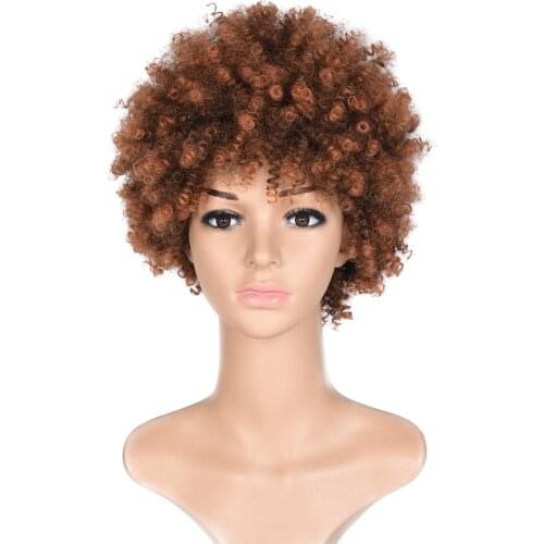 Short Wigs For Black Women Afro Curly Brown Synthetic Hair