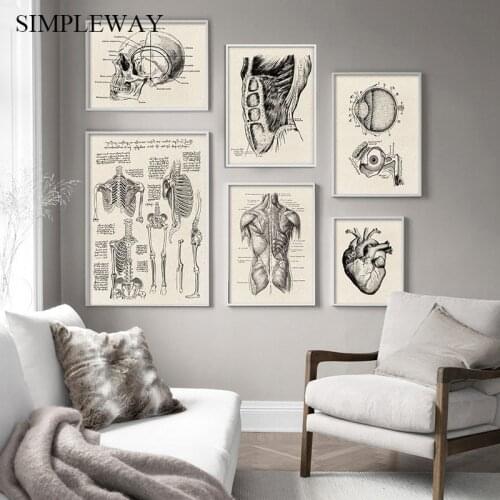 Human Anatomy Artwork Medical Wall Picture Muscle Skeleton Vintage Poster Nordic Canvas Print Education Painting Modern Decor
