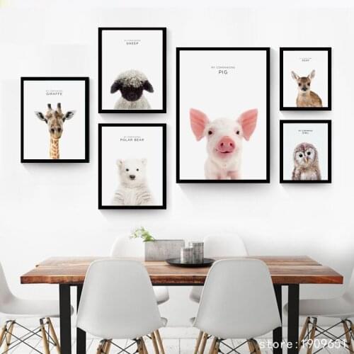 No frame abstract cartoon animals pig panden owl canvas printings oil painting printed on cotton wall art decoration picture