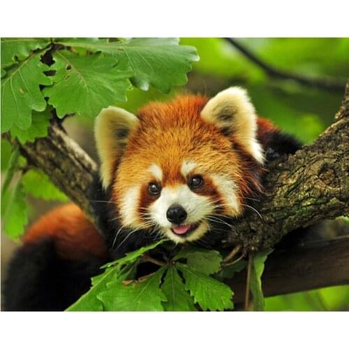 Full Square/round Diamond Embroidery Animals Red Panda Diy Diamond Painting Pattern Rhinestones Sale Diamond Mosaic Needlework