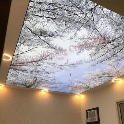 Winter Trees Printing Ceiling Film Overlooking trees Stretch Ceiling Film