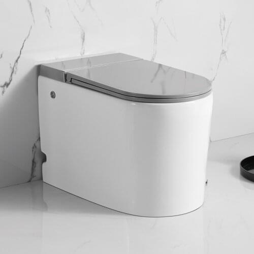 KASG-DV9008T Bathroom Tankless Electric automatic intelligent Toilet