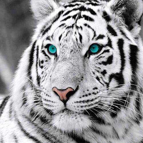 DIY 5D Diamond Painting Kit for Adults Animal Full Round Drill White Tiger Rhinestone Embroidery Arts Craft Supply