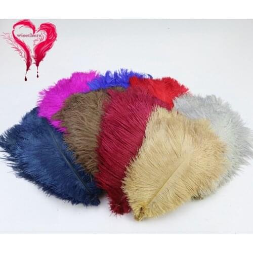 14 Colors 10 PCS/Lot 25-30 CM Beautiful Dyed Colorful Natural Ostrich Plume Feathers Centerpieces DIY Crafts Room Decoration
