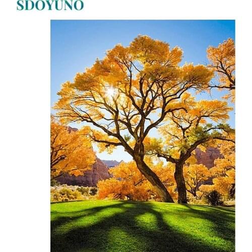 SDOYUNO 60x75cm Paint By Numbers Ginkgo Tree DIY Painting By Numbers On Canvas Scenery Frameless Digital Pictures Hand Painting