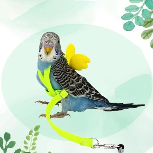 Adjustable Parrot Birds Harness Leash Outdoor Training Traction Rope for Peony Parrot Anti-bite Outdoor Training Traction Rope