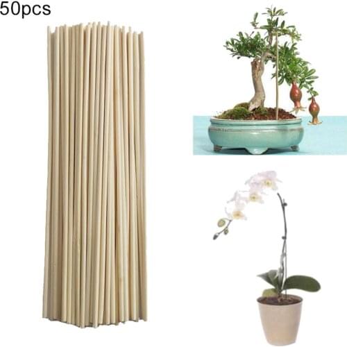 50Pcs Bamboo Plant Grow Support Sticks Garden Potted Flower Canes Rod Tools