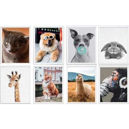 Adorable Dog Rabbit Rabbit Monkey Giraffe Cat Llama Poster Wall Colorful Artwork House Decoration,8 x 10 Inches,Set of 8 Pieces
