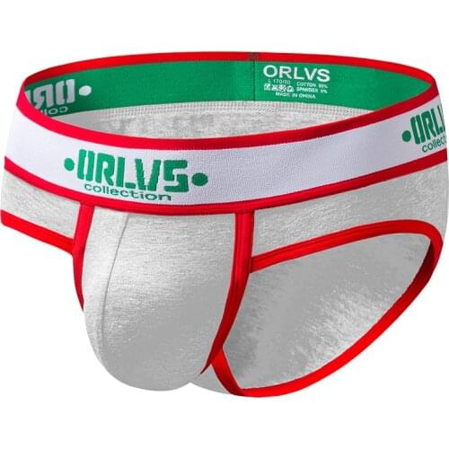 2020 ORLVS Brand Men Briefs Underwear Sexy Breathable Underpants Cotton Comfortable Mens Briefs Underwear Shorts OR171