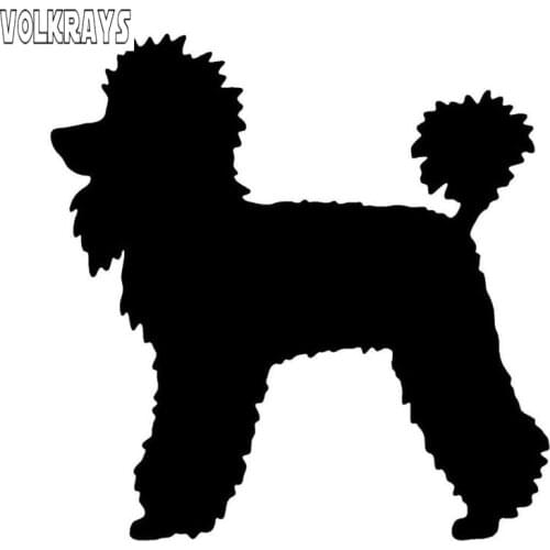 Volkrays Personality Car Sticker Poodle Dog Cute Accessories Reflective Waterproof Sunscreen Vinyl Decal Black/Silver,11cm*11cm