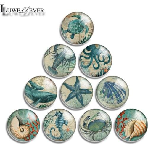 10mm 12mm 16mm 20mm 25mm 30mm 592 Ocean Mix Round Glass Cabochon Jewelry Finding 18mm Snap Button Charm Bracelet