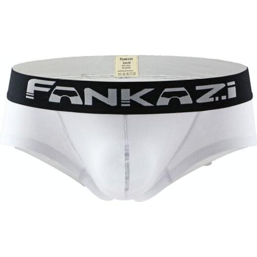 Mens Boxers Cotton Sexy Men Underwear Mens Underpants Male Panties Shorts U Convex Pouch for Boxers Shorts