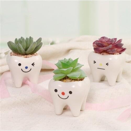 Ceramic Teeth Shape Flowerpot Innovation Home Decor Floor Flower Mini Cartoon Pots Desktop Succulent Cactus Pot Flower Pot Vase
