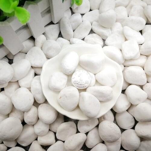 500g White Natural Pebbles for Aquarium Decoration Stones Small Pot Plant Home Garden Decor Fish Tank Vase Plant Little Stone