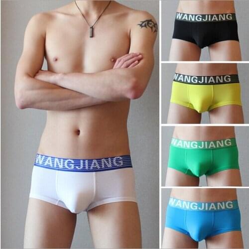 New WJ mens boxer underwear transparent thin ice silk boxer underwear 5 colors size S/M/L/XL