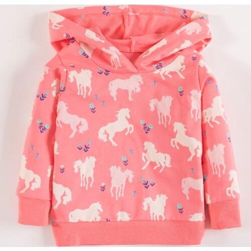 Girls Sweater Hoodies Brand Quality Terry Cotton Infant Bebe Kids Fleeces Sweatshirts Blouse Children Clothing Baby Girl Clothes