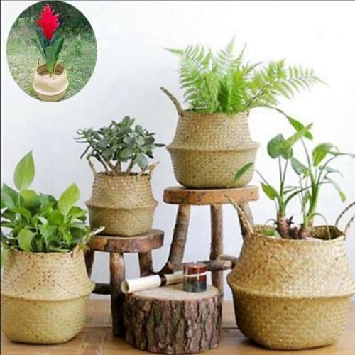 Natural Sea Grass Plant Storage Wood Basket Rattan Folding Wicker Handle Round