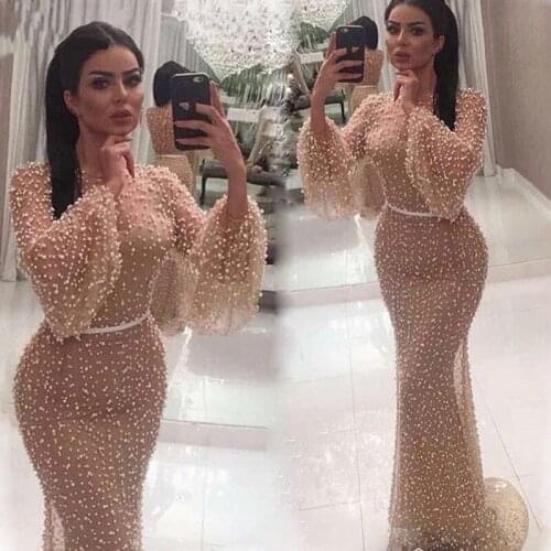 Rebicoo Mesh Sexy Female The Dress Round Neck Puff Sleeve Dress Autumn New Tight Bag Hip Perspective Women Maxi Dress