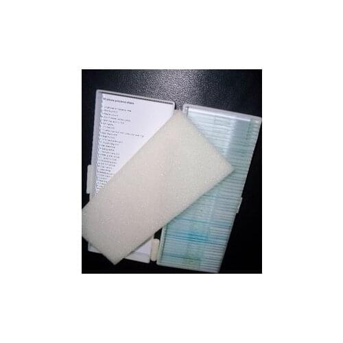 50pcs Microslides prepared slides set