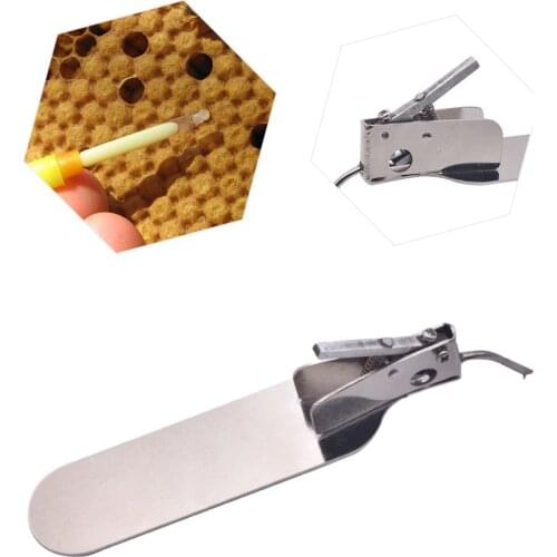 Queen Rearing Kit Master Grafting Tool With Spare Tongue Beekeeping Tool For Beekeeper Supplier Equipment