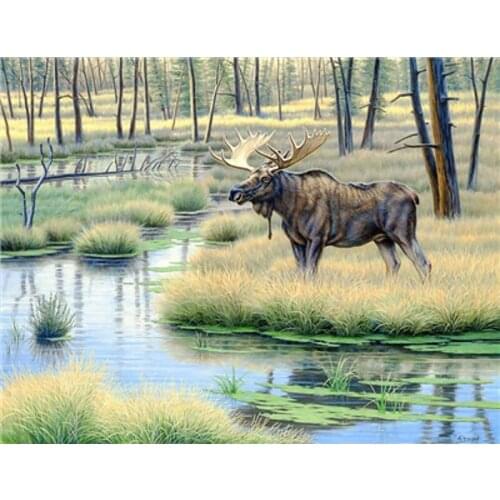 Diy Pictures By Numbers Kits For Adults Handpainted Color Deer With Butterfly Oil Painting By Number