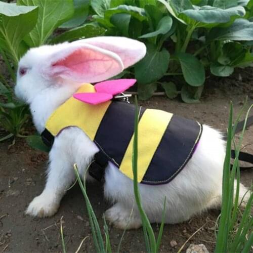 Cat Harness with Leash and Collar for Walking - Adjustable Soft Vest Harnesses for for Rabbit Cat Puppy and Small Animals