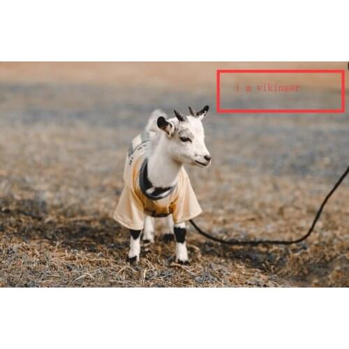 Men 316L norse viking viking wolf Scandinavian pendant necklace