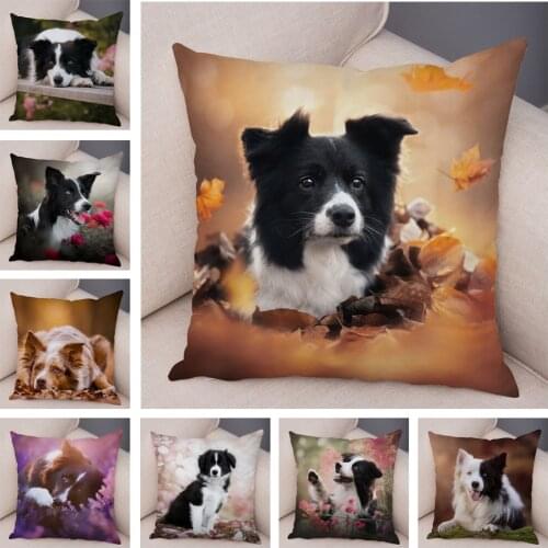Soft Plush Cute Pet Animal Cushion Cover Scotland Border Collie Pillowcase for Sofa Car Decor Dog Printed Pillow Case 45*45cm