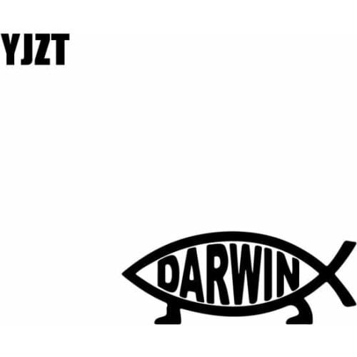 YJZT 12.7CM*5CM DARWIN Small Fish Vinyl Car Motorcycle Sticker Decals Black/Silver C13-000113