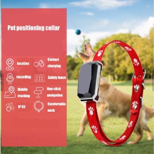 Hot Sale High Quality free App Pet locator Pets Cat Dog Gps Tracker Locator RYDXTR-9