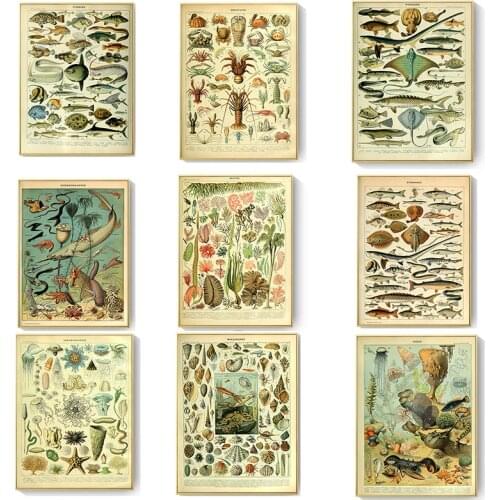 Nordic Retro Underwater World Atlas Picture Antique Old Book Page Printing Canvas Painting Home Living Room Study Decor Poster