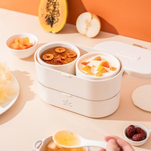 900ml Electric Lunch Box Mini Bento Box Protable Rice Cooker Steamer Stew Pot Porridge Soup Food Warmer Hotpot Cooking Pot 220V
