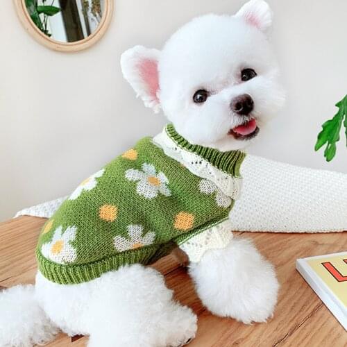 Hippypaw Sweaters For Dogs