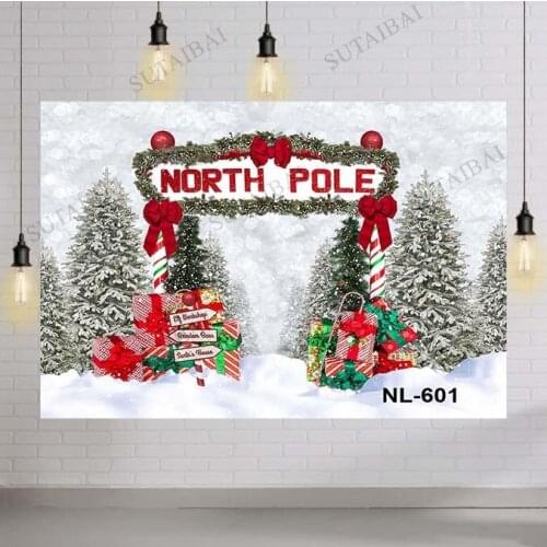 Winter Snowing Landscape Pine Woodland Forest Backdrop Christmas Trees North Pole Passage Snowflake Kids Photo Booth Background