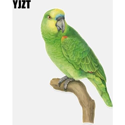 YJZT 9.3*14.9CM Unique Green Parrot In PVC Colored Decor Car Sticker Personalized High Quality 11A0121