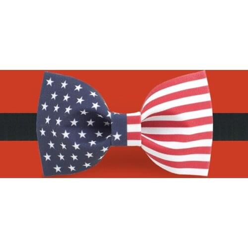 Free shipping 2019 new fashion mens male MAN Original handmade printed bow tie party groom dress Creative american flag